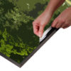 WANDenWOONdeco.nl frame FRIDO