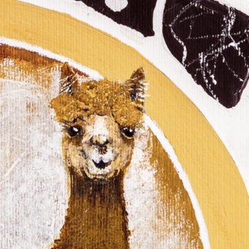 ALPACA-IN-TERRAZZO-close-up