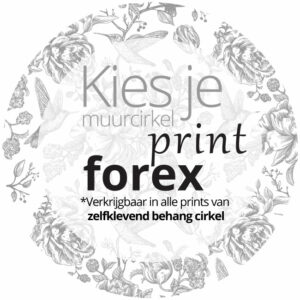 Kies-je-print-forex