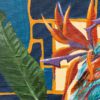 PARADISE-BIRD-close-up