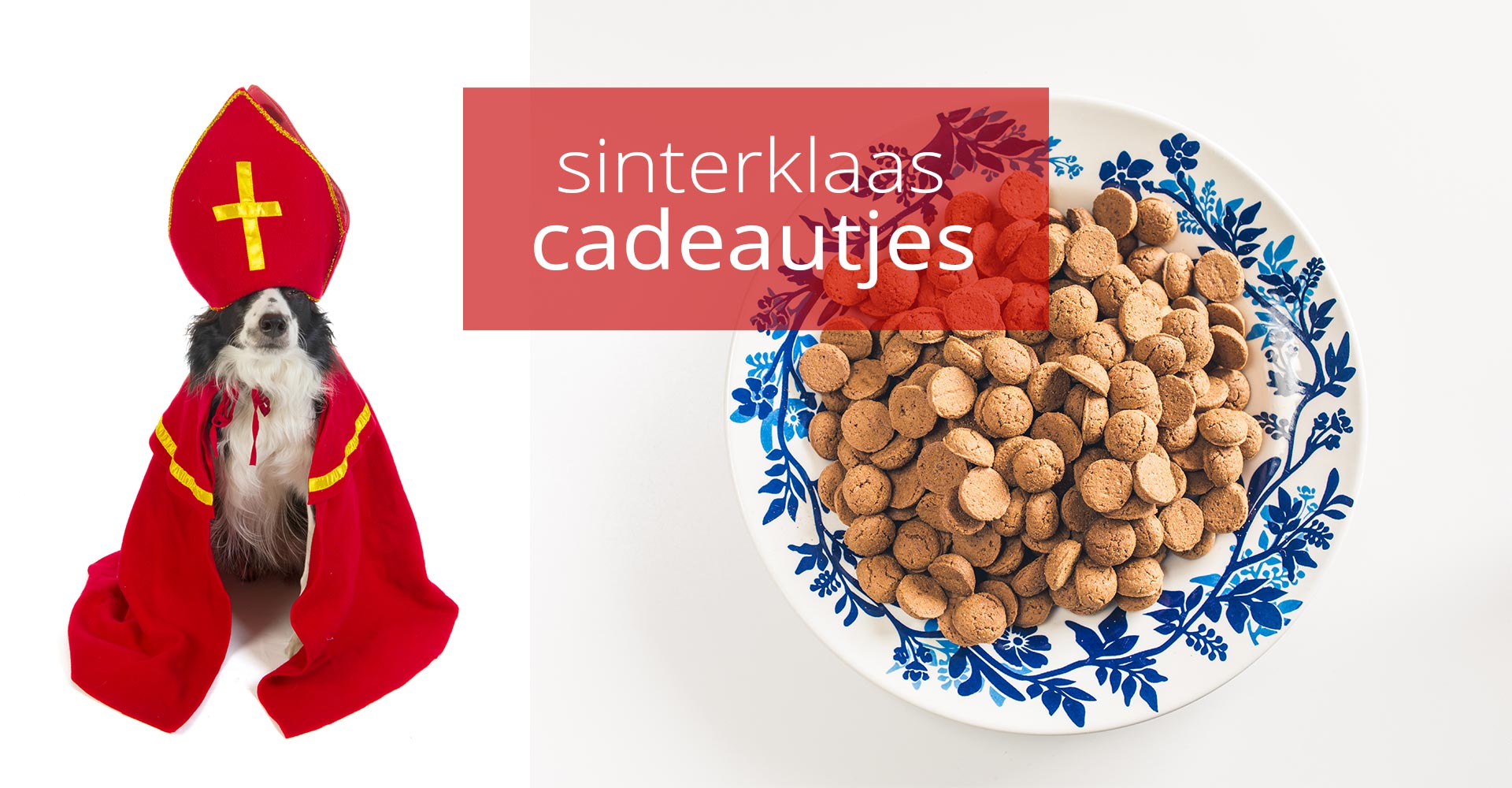 sinterklaas cadeautjes