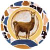 ALPACA in TERRAZZO
