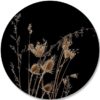 Dibond-cirkel-DROOGBLOEM-zwart