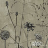 close-up-olive sprig