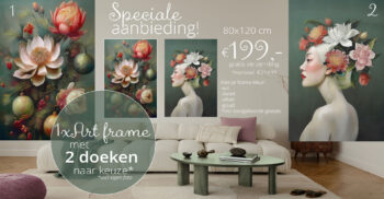 speciale-aanbieding-art-frame
